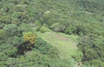 “Invasores” salen al paso de versiones de Santamaría - Nacionales - ABC Color