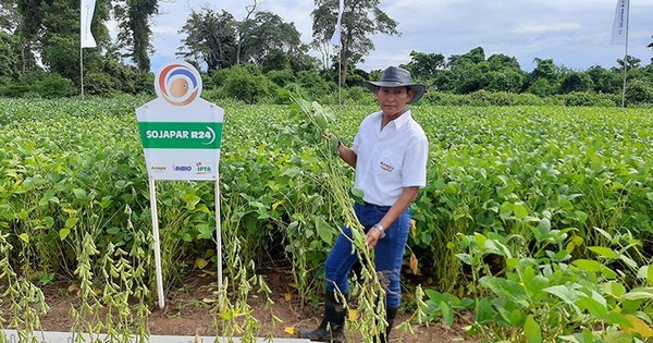 La Nación / Destacan en feria agro de Bolivia variedades de Sojapar