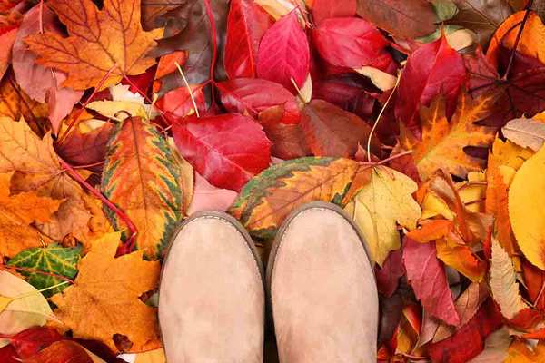 ¡Llegó el otoño! Descubrí 5 curiosidades de esta estación - Megacadena — Últimas Noticias de Paraguay