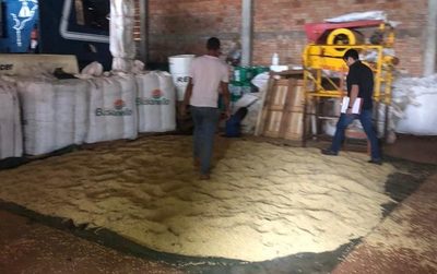 Hurtan agroquímicos en Santa Rita