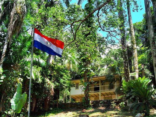 Se conmemora hoy el Día Internacional de los Bosques - La Clave
