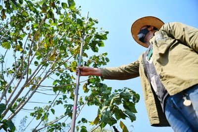Itaipú preserva áreas boscosas con tareas de restauración y campañas de concienciación - Nacionales - ABC Color