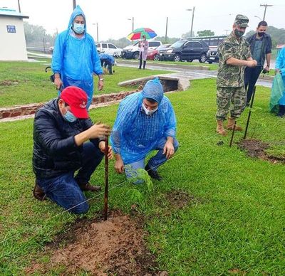 Paraguarí: cultivan 1.100 árboles en conmemoración del Día Internacional de los Bosques - Nacionales - ABC Color