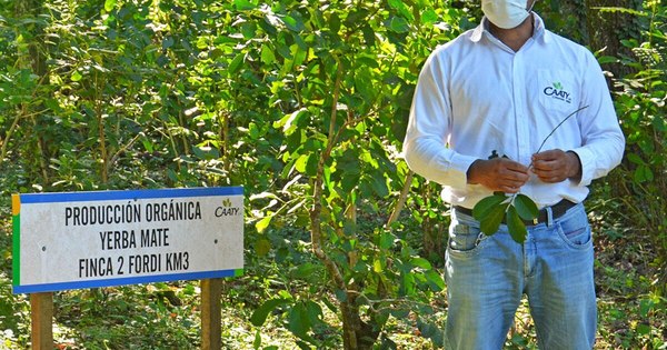 La Nación / UE: capacitación y asistencia técnica, claves para el éxito de proyectos productivos