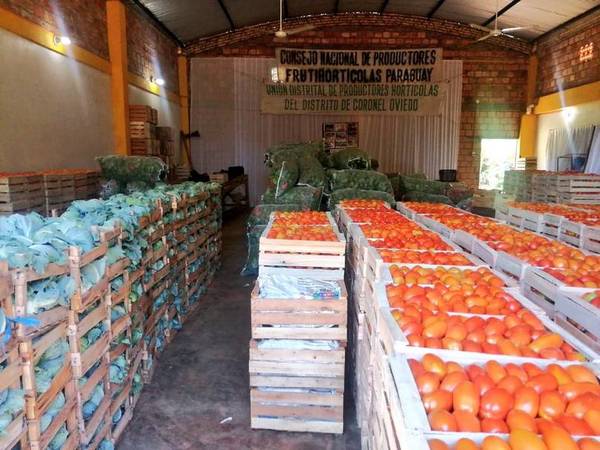 Exitosa comercialización de tomate y locote de productores de Caaguazú