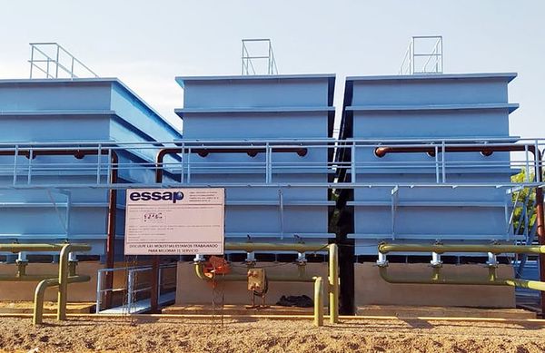 Plantas compactas, un gran aporte - Día del Agua 2021 - ABC Color