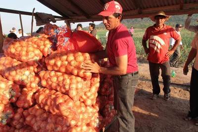 Se establece régimen transitorio de liquidación del IRE dirigido a pequeños productores agropecuarios | .::Agencia IP::.