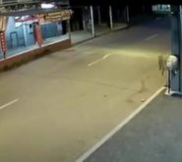 Delincuente ataca a mujer con machete - Paraguay.com