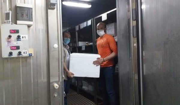 Mañana inmunizan a personal de blanco con vacuna AstraZeneca – Diario TNPRESS