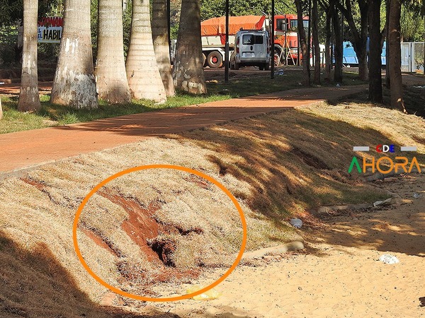 Como roban en la “COSTANERA DE PRIETO”: pasto fue plantado por funcionarios de la comuna y no usaron abono