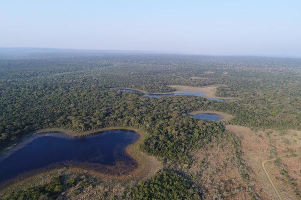 En el Día Mundial del Agua, Coca Cola fortalece su compromiso con el cuidado del líquido vital - Megacadena — Últimas Noticias de Paraguay