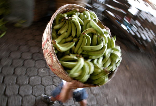 Las exportaciones de bienes en Costa Rica crecen un 10 % en el primer bimestre - MarketData