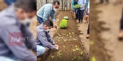 IMPULSAN PROGRAMAS Y PROYECTOS DE PROTECCIÓN SOCIAL EN ALTO PARANÁ E ITAPÚA