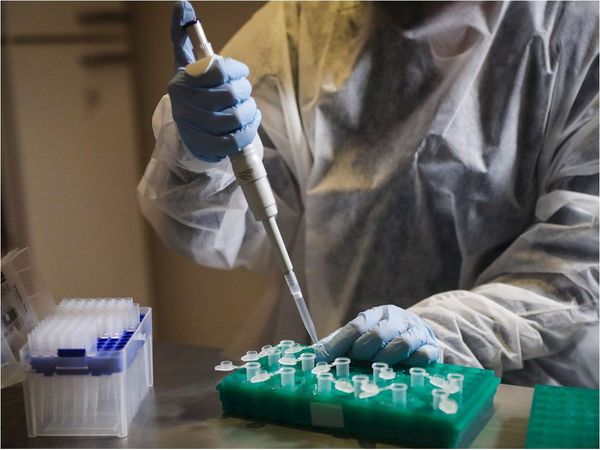 Uruguay confirma casos de la variante brasileña en su territorio