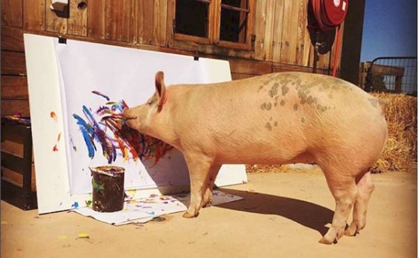 Crónica / Kure’i pinta cuadros y tiene su galería de arte