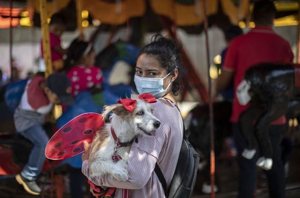 San Lázaro protege a los perros en Nicaragua - Mascotas - ABC Color
