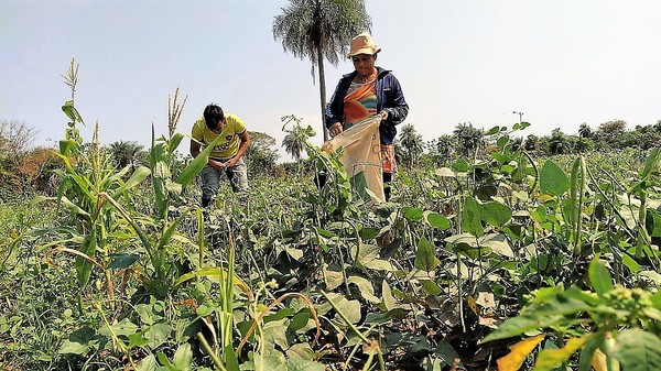 La rebeldía campesina, de frente al clamor de vida digna y el ninguneo del gobierno - La Mira Digital