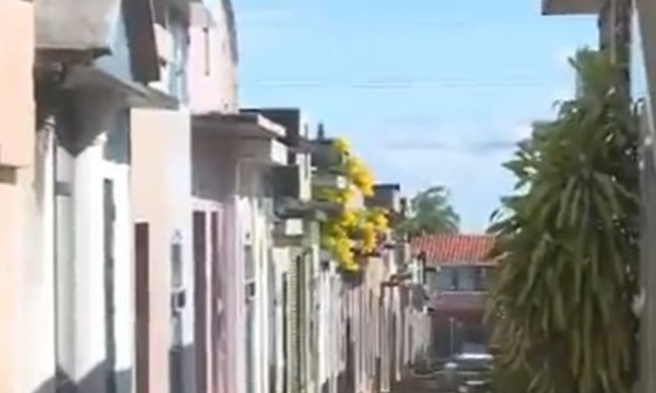 Prohibirán visitas a los cementerios de Asunción - C9N