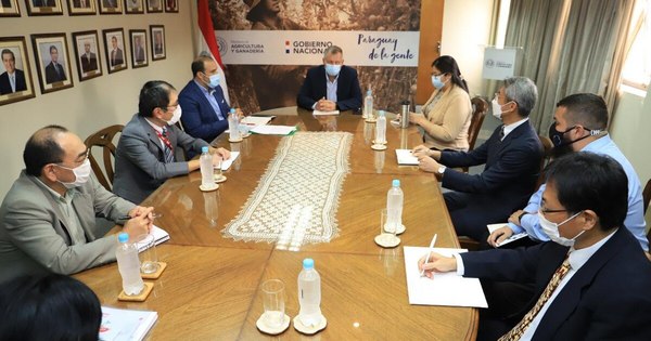 La Nación / Fortalecen cooperación para mejorar calidad de rubros agrícolas de exportación