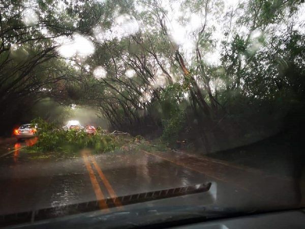 Temporal severo causa destrozos en Santa Rita
