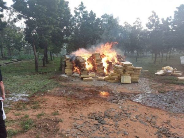 Antinarcóticos destruyen 18.900 kilos de marihuana en San Pedro