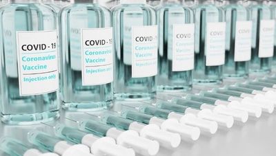 ¿Cuáles son las principales variables que influyen en la adquisición de vacunas contra el COVID-19?