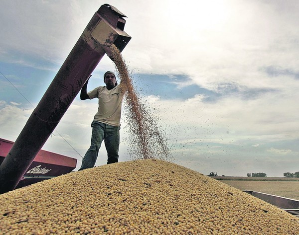 Argentina: las lluvias permitieron recuperar 600.000 hectáreas de soja en la región núcleo