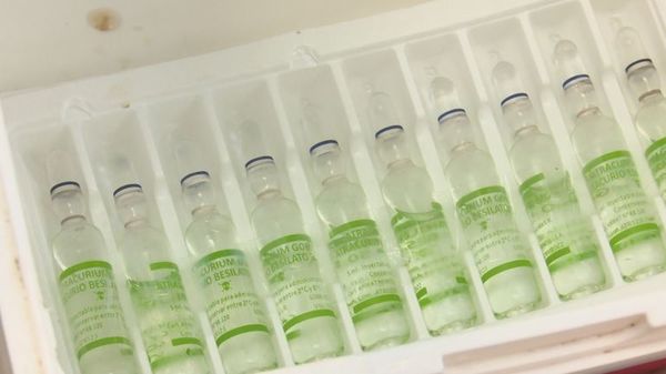 Diben planea millonario convenio con una ONG para acelerar compra de medicamentos - Nacionales - ABC Color