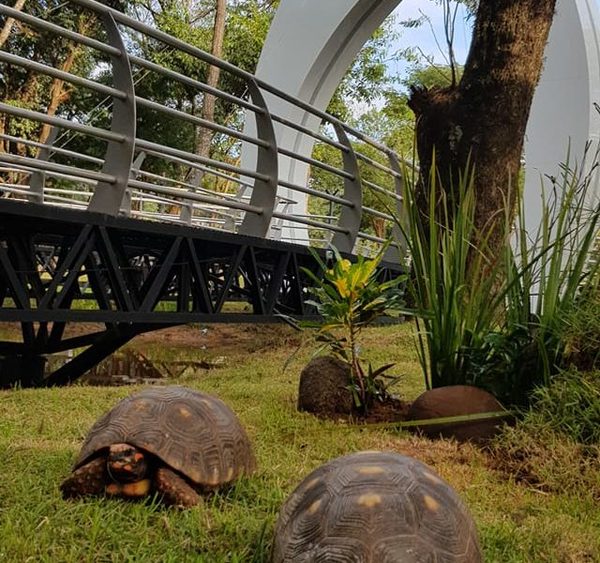 Parque Independencia con nuevas mascotas