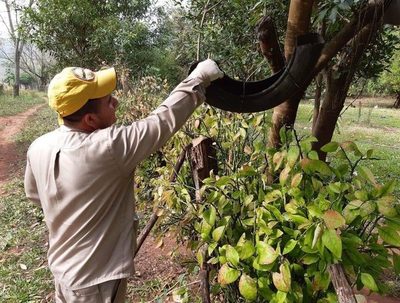 Senepa reporta 700 notificaciones de dengue por semana · Radio Monumental 1080 AM
