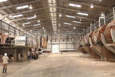 Paraguay registra un crecimiento del 6% en la exportación de cuero