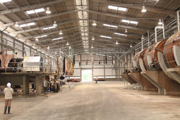 Paraguay registra un crecimiento del 6% en la exportación de cuero