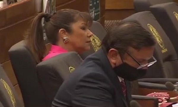 Caldeada sesión: Diputada Del Pilar Medina desafió a una pelea a Celeste Amarilla - SNT