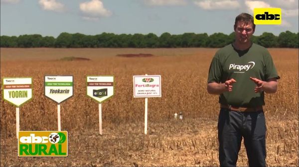 ABC Rural: Fertilización de base y de Sistemas, para buen desarrollo de cultivo - ABC Rural - ABC Color