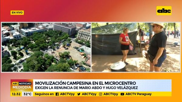 Campesinos se movilizan por el microcentro - ABC Noticias - ABC Color