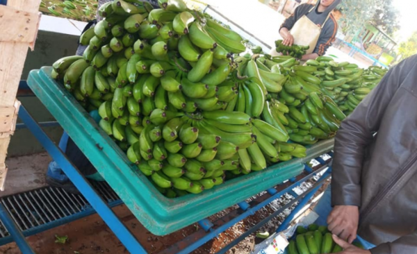 Diario HOY | No hay rutas en condiciones y frutas llegan podridas a las escuelas