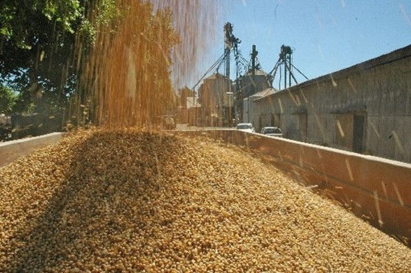 Empresarios de Paraguay y Taiwán se reúnen para analizar el comercio de la soja paraguaya - ADN Digital