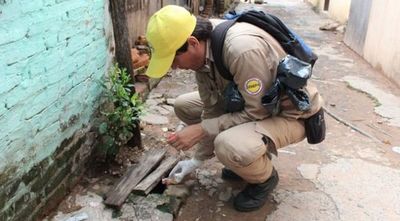 Eliminar criaderos de mosquitos fundamental para frenar al dengue