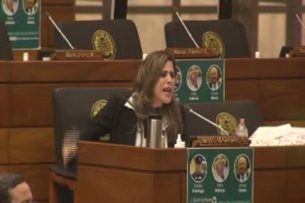Diputados a los gritos: Acusaciones, insultos y amenazas - SNT