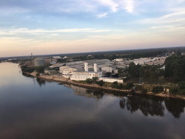 S&P Global elevó calificación crediticia de Frigorífico Concepción por buena performance y reducción de deuda