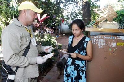 OPS: No existe una razón para declarar emergencia por dengue en Paraguay - El Trueno