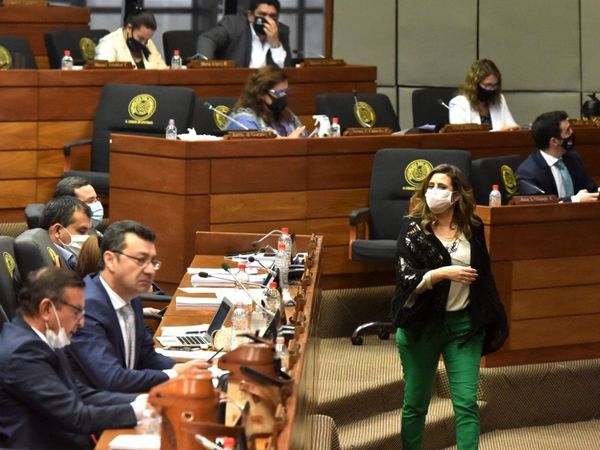 Kattya denuncia violencia política y Diputados repudia