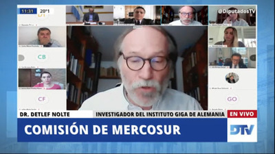 Especialista alemán afirma que la oposición no es alternativa a la ANR - El Trueno