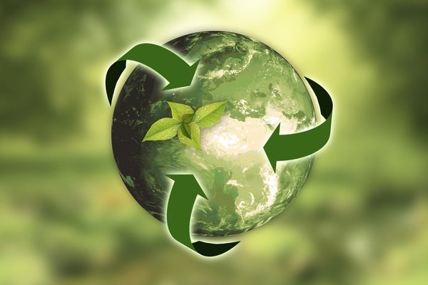Piden la promoción de la sostenibilidad ambiental y los valores del comercio justo durante la recuperación económica - El Trueno