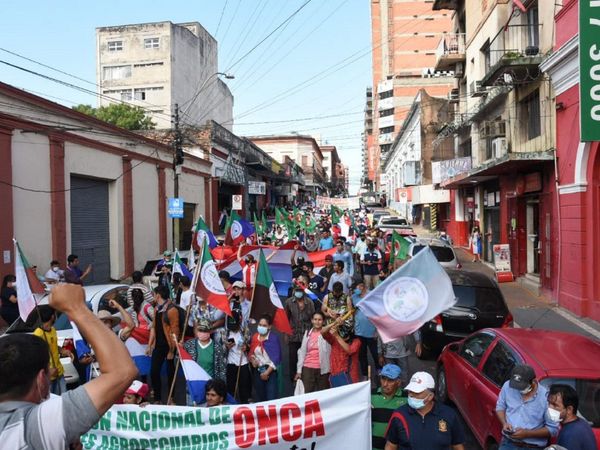Campesinos marchan para hacer visibles sus históricos reclamos y en repudio al Gobierno