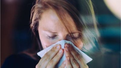 Estudio concluye que el virus del resfriado puede ofrecer una protección temporal contra el COVID | Ñanduti