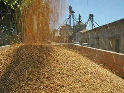 Taiwán y Paraguay con miras a reanudar comercio de soja | OnLivePy