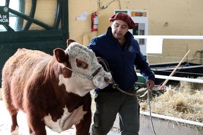 Uruguay, un pequeño entre gigantes cuya agricultura apunta al mundo - MarketData
