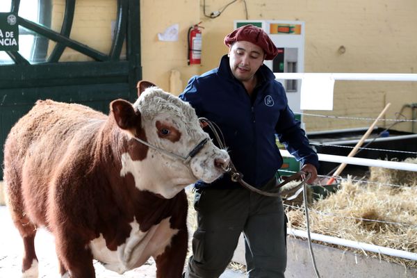 Uruguay, un pequeño entre gigantes cuya agricultura apunta al mundo - MarketData