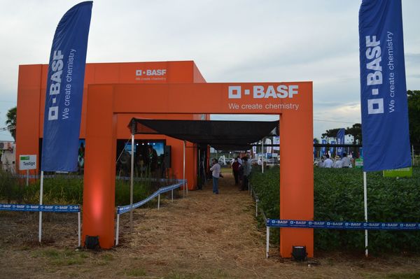 BASF lanzó sus nuevos fungicidas en Agroshow